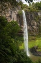 Waterfall Bridal Veil A