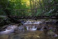 Waterfall with bridge in the Natural reservation Cheile Nerei, Romania Royalty Free Stock Photo