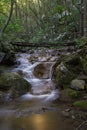Waterfall with bridge in the Natural reservation Cheile Nerei, Romania Royalty Free Stock Photo