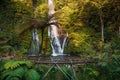 Waterfall with bridge and plants in tropics. Jungle cascade waterfall in tropical rainforest with warm sun light