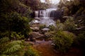 Waterfall in the Budderoo National Park, Nellies Glen in Australia Royalty Free Stock Photo