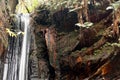 The Waterfall Cachoeira Capelao