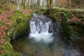 Waterfall in Cally Wood Royalty Free Stock Photo