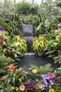 Waterfall in Canada Garden