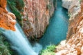 Waterfall and a canyon with surrounded vegetation