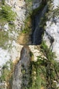 Waterfall in the Carpathians Royalty Free Stock Photo