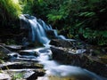 Waterfall at the carpatian mountains green forest