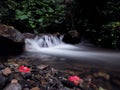 Waterfall at the carpatian mountains at the green rainy pine for