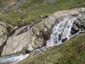 Waterfall cascade at wild Freigerbach stream with rocks, green meadow and blooming alpenrose, Rhododendron ferrugineum Royalty Free Stock Photo