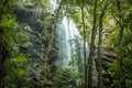 A waterfall in Springbrook National Park, Queensland, Australia Royalty Free Stock Photo