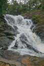 Waterfall cascades in wild forest