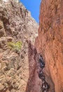 Waterfall cascading through a canyon into Cortaderas Stream, Mendoza Royalty Free Stock Photo