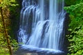 Waterfall cascading in Lower South Falls in Silver Falls State Park Royalty Free Stock Photo