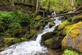 Waterfall cascading over the rocks near Wild Cherry Branch in the Great Smoky Mountains NP