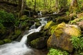 Waterfall cascading over the rocks near Wild Cherry Branch in the Great Smoky Mountains NP