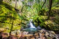 Waterfall on the Cataract trail in Marin Municipal Water District, Marin county, north San Francisco bay area, California