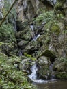 Waterfall on Cerna valley , in Caras Severin, near Cerna Sat.