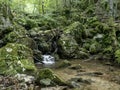 Waterfall on Cerna valley , in Caras Severin, near Cerna Sat.