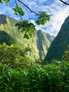 Waterfall in cirque de salazie la reunion Royalty Free Stock Photo