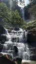 Waterfall citateh indonesian sukabumi explore at geopark ciletuh Royalty Free Stock Photo