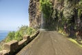 Waterfall on closed old road on the edge of rocky cliff between Ponta do Sol and Jardim do Mar, Madeira island, Portugal Royalty Free Stock Photo