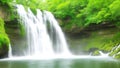 Waterfall colorful leaves in the summer is a beautiful waterfall Ai Generated