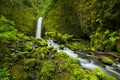 Waterfall in the Columbia River Gorge, Oregon, USA Royalty Free Stock Photo