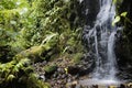 Waterfall Costa Rica Puerto Viejo Limon