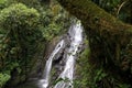 Secluded Waterfall Costa Rica Royalty Free Stock Photo