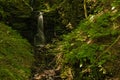Small waterfall in a forest near Kroev