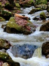 Waterfall creek forest nature art abstract Royalty Free Stock Photo