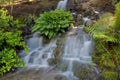 Waterfall at Crystal Springs Rhododendron Garden