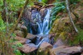 Waterfall in the Dandenongs