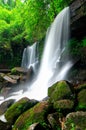 Waterfall in the deep forest in Loei,Thailand Royalty Free Stock Photo