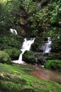 Waterfall in deep forest