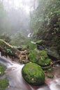 Waterfall in deep forest