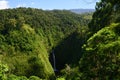 Waterfall in a deep jungle in Costa Rica.