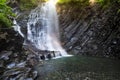 Waterfall in deep moss forest, clean adn fresh in Carpathians, Ukraine. Royalty Free Stock Photo
