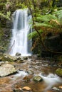 Waterfall Deep in the Rainforest surrounded by ferns