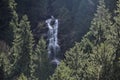 Waterfall in dense conifer forest close to path towards to Murg lakes Royalty Free Stock Photo