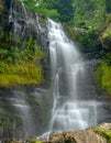 Waterfall through dense forest Royalty Free Stock Photo