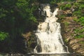 Waterfall in dense forest. mountain river. woodland creek. water flow with splashes Royalty Free Stock Photo