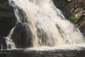 Waterfall in dense forest. mountain river. woodland creek. water flow with splashes Royalty Free Stock Photo