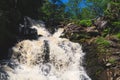 Waterfall in dense forest. mountain river. woodland creek. water flow with splashes Royalty Free Stock Photo