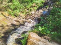 Waterfall in dense forest. mountain river. woodland creek. water stream with splashes. rocky watercourse Royalty Free Stock Photo
