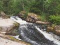 Waterfall in dense forest. mountain river. woodland creek. water stream with splashes. rocky watercourse Royalty Free Stock Photo