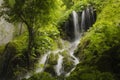 Waterfall and dense vegetation in green forest Royalty Free Stock Photo