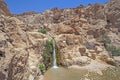 Waterfall in the Desert Summer