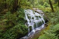 The waterfall at Doi-intanon nation park. Royalty Free Stock Photo