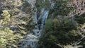 Waterfall on the dolomites